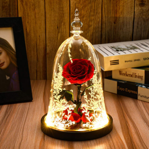 Beauty and The Beast Rose, Preserved Real Rose in a Glass Dome with LED Lights,Gift for Valentine's Day Wedding Anniversary Birthday (Beauty and The Beast Preserved Rose)