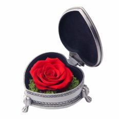 hey June Gifts for Women, Preserved Rose Flower with Gift Box, Unique Gifts for Wife Grandma Mom Valentines Anniversary Mothers Day Birthday Gifts (Red Rose)
