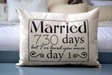 2nd Anniversary Cotton Gift, Cotton Anniversary Gift for her, Married for 730 days but, I've loved you since day 1 Cotton Duck Fabric