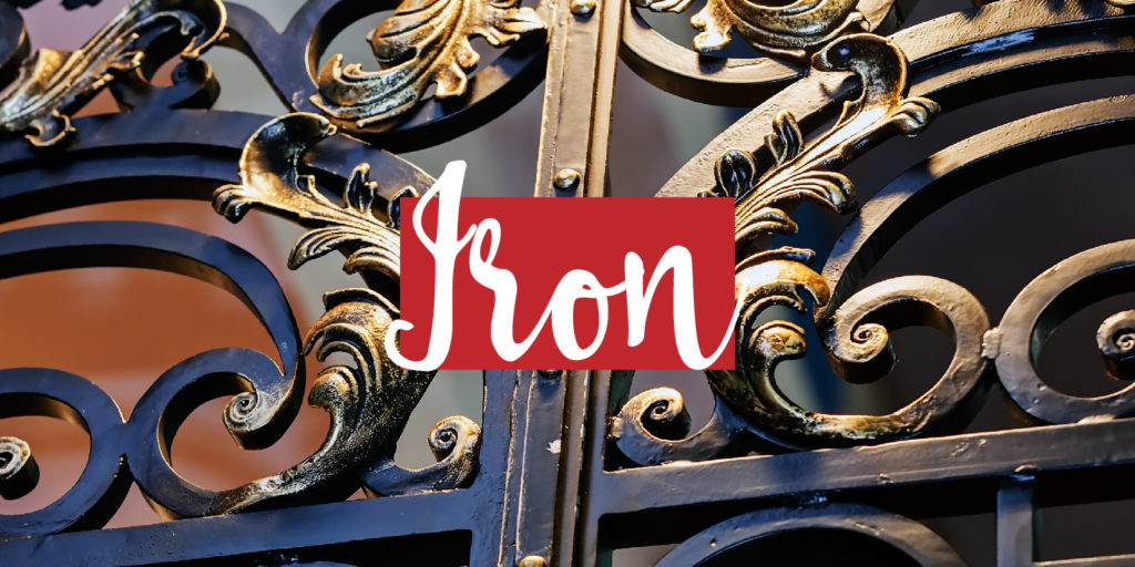 Closeup detail of an iron gate with a text overlay that reads 'iron'