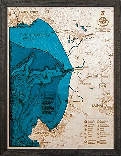 Beautifully Detailed! Monterey Bay Area 3-D Wood Map