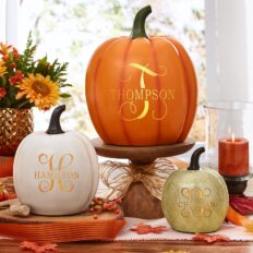 Let\'s Make Memories Personalized Light Up Pumpkin - Family Name Jack-O-Lantern Halloween Décor - Your Name & Initial on a Custom Pumpkin - Fall - Light Up Indoors/Outdoors - Large - Orange