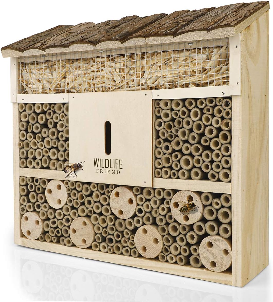 Wildlife Friend I Bee Hotel Insect Hotel - 29.5 x 28 x 10 cm - untreated, Solid Wood bee House for Bees, Ladybugs & lacewings - Hanging Insect House & Nesting aid