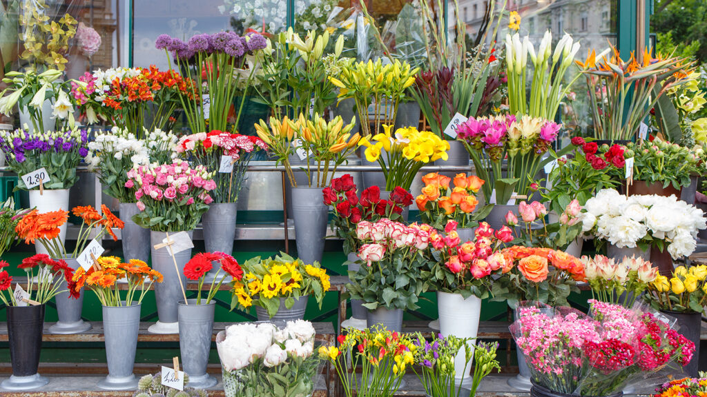 Outdoor flower market with multi-color flower varieties displayed in buckets