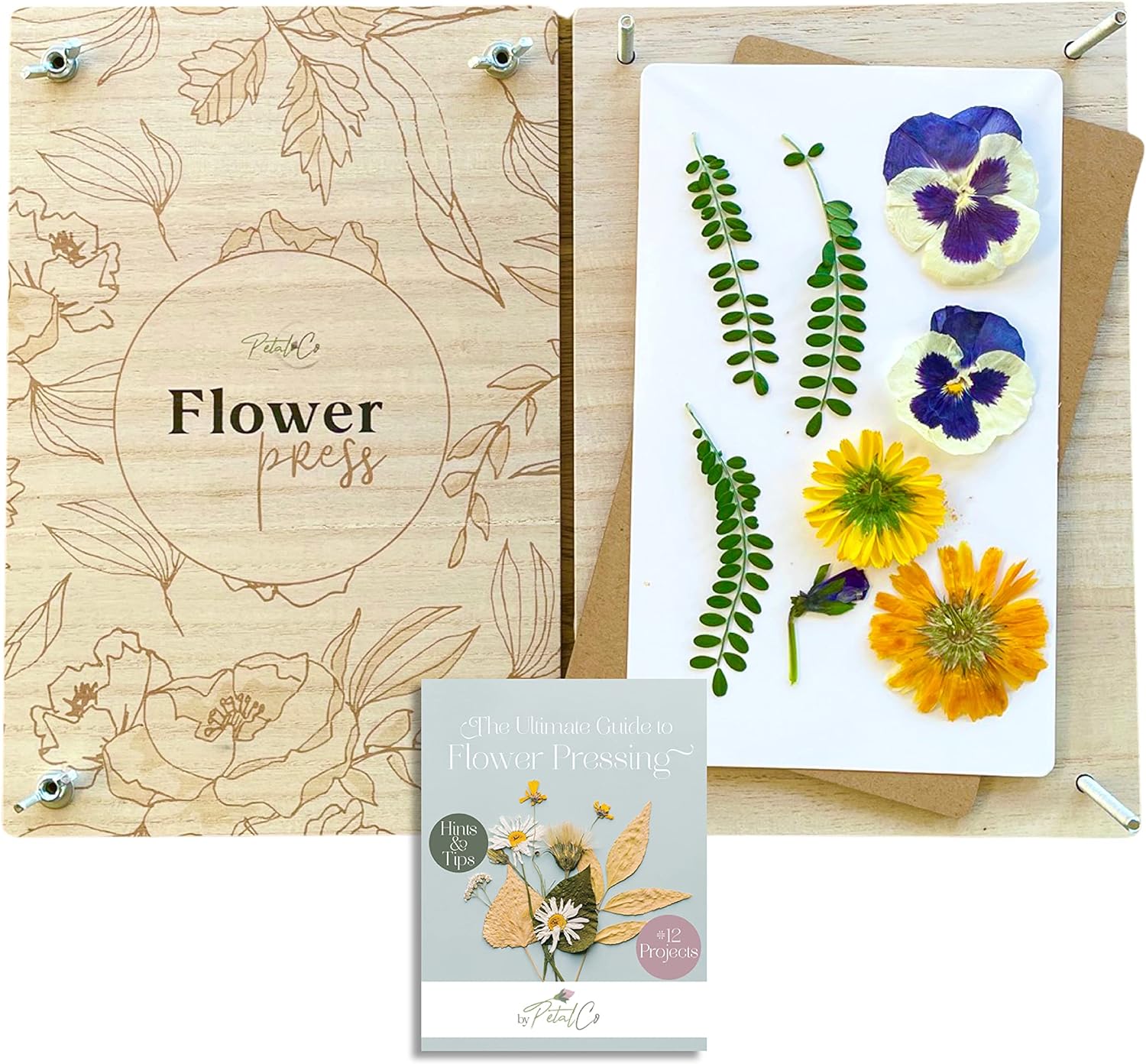 Petal Co Wooden Leaf, Plant, Flower Press Kit & EBook - Large 7x10 inch, 7 Layer Press, Great Gift for Creative Plant Lovers, Kids & Adults, Educational Activity, Outdoor Crafts