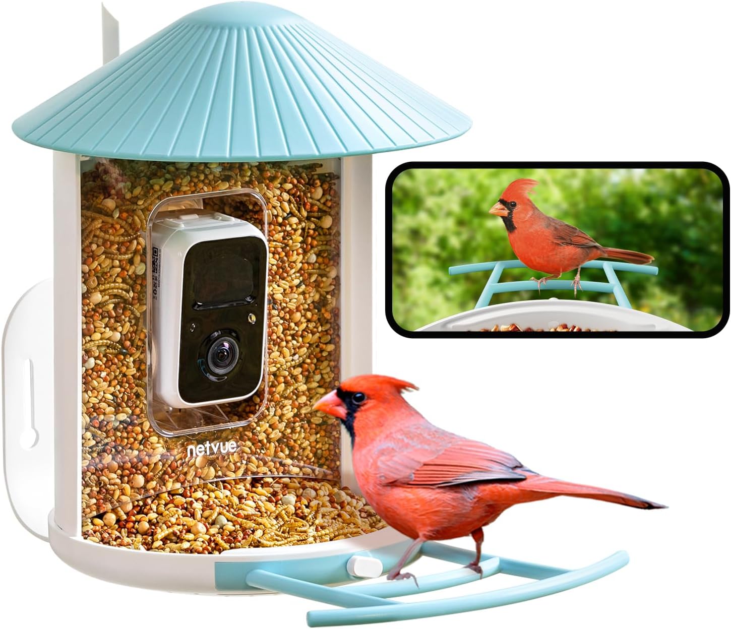 NETVUE Birdfy® Smart Bird Feeder with Camera, Bird Watching Camera, Auto Capture Bird Videos & Motion Detection, Wireless Camera Ideal Gift for Bird Lover (Lite)