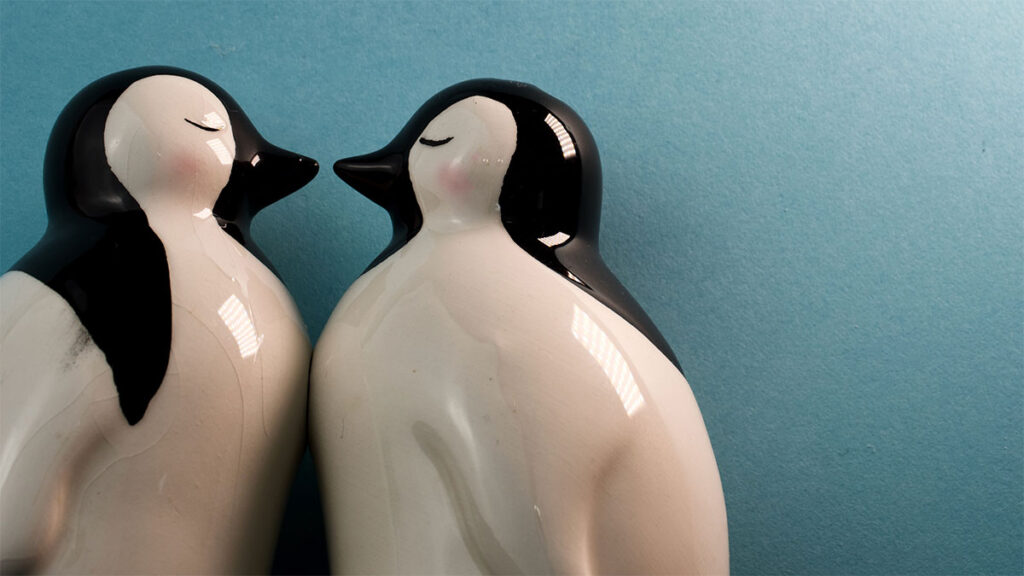 Close up of a penguin salt and papper shaker set against a blue wall